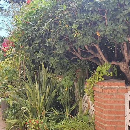شقة Apartamento Torre Del Mar *